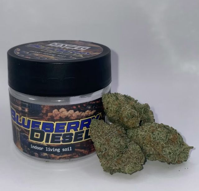 Blueberry Diesel Dayzed