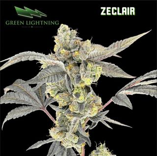 Zeclair Green Lightning