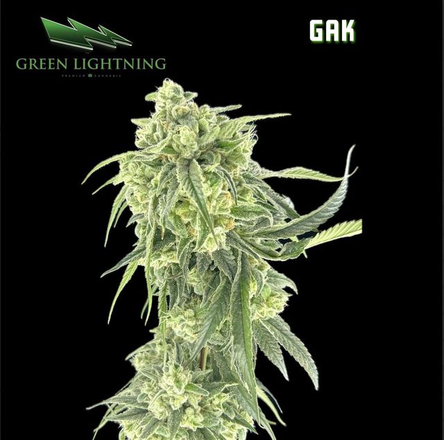 GAK Green Lightning