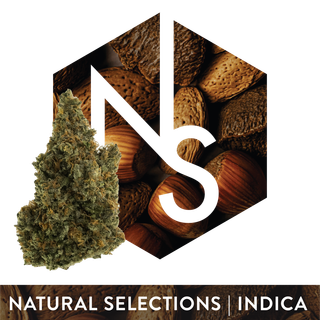 OGKB 2.1 Natural Selections