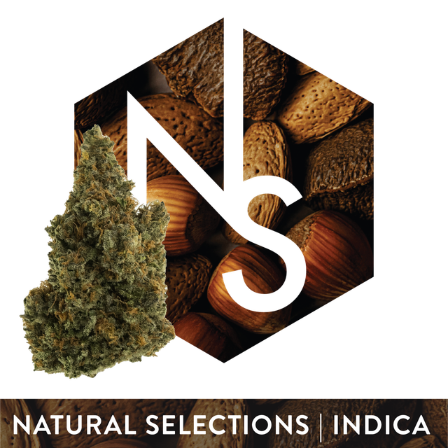 OGKB 2.1 Natural Selections OGKB 2.1 Natural Selections