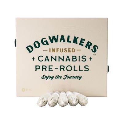 Brownie Scout Dogwalkers