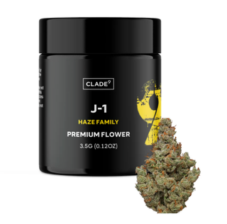 J1 🍃 Clade9