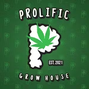 Gelato Cream Prolific Growhouse