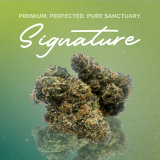 Gelonade Sanctuary Cannabis