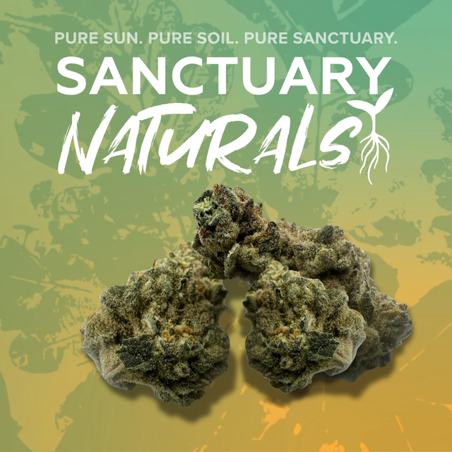 Pink Milk Sanctuary Cannabis Pink Milk Sanctuary Cannabis