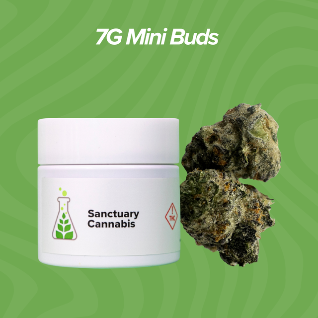 Gelonade Sanctuary Cannabis Gelonade Sanctuary Cannabis