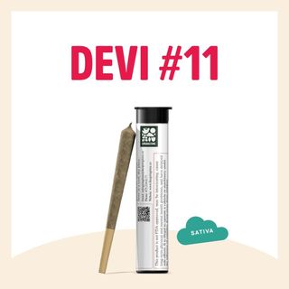 Devi #11 Springtime
