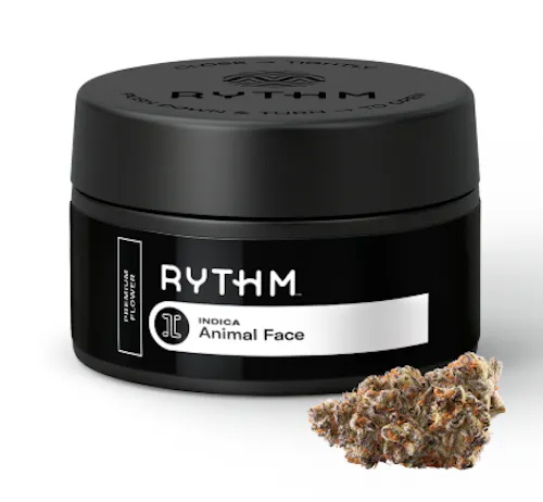 Animal Face Rythm
