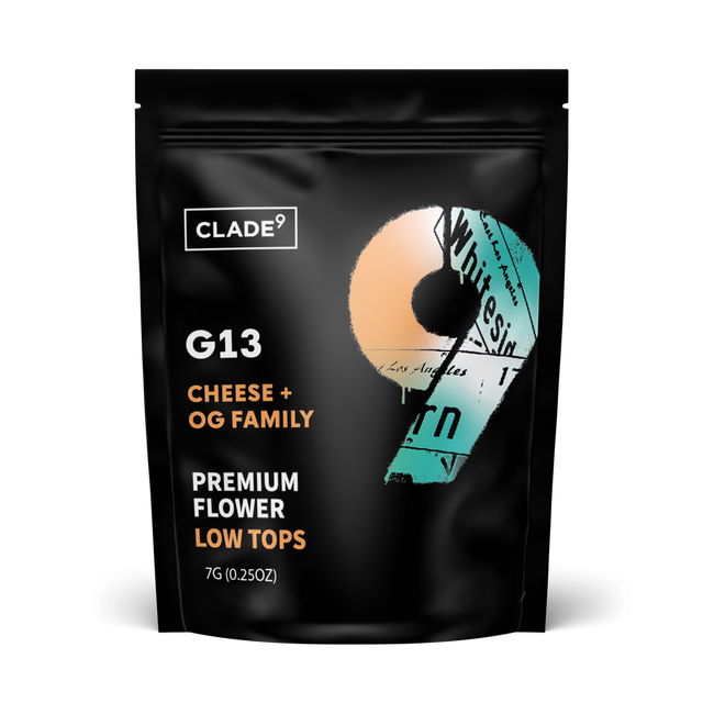 G13 Clade 9