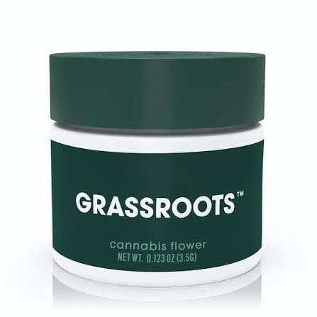 Golden Sands Grassroots 