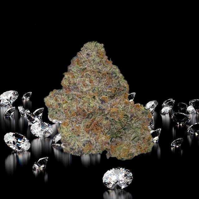 Bling Blaow Legacy