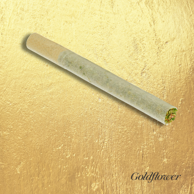 Cherry Noir Goldflower