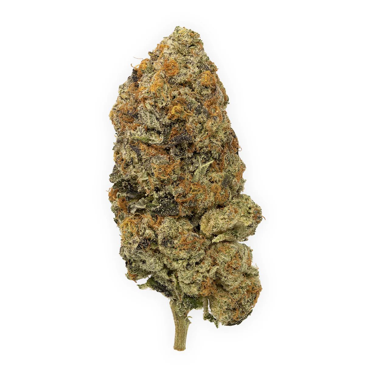 Slurricane Simple Farms