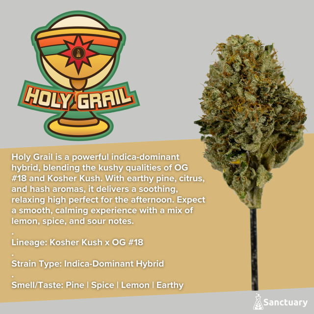 Holy Grail Sanctuary