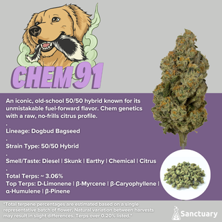 Chem 91 Sanctuary