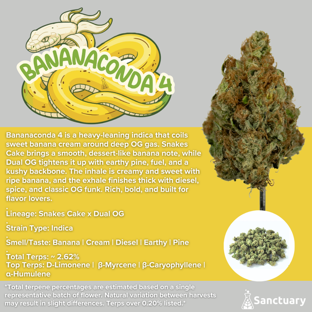 Bananaconda 4 Sanctuary