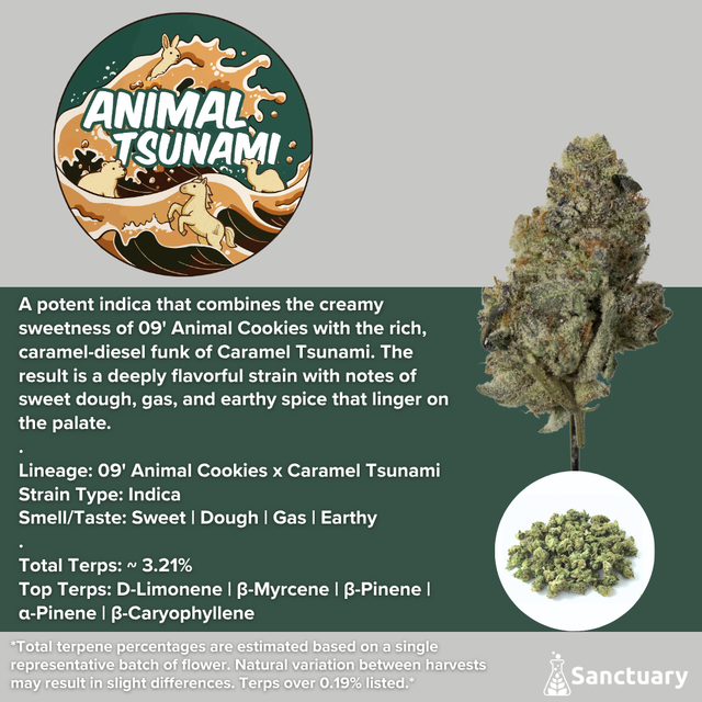 Animal Tsunami Sanctuary