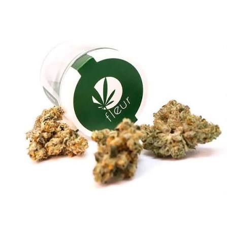 Orange Cookies (3.5g) Fleur