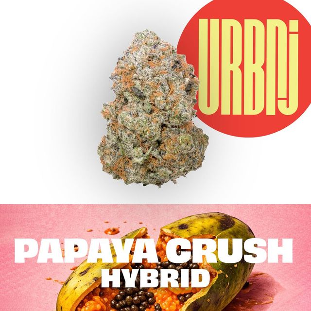 Papaya Crush URBNJ Papaya Crush URBNJ