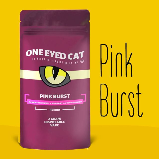 Pink Starburst One Eyed Cat Pink Starburst One Eyed Cat