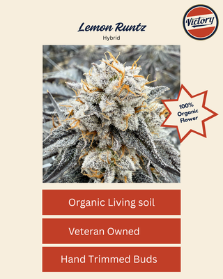 Lemon Runtz Victory Natural Farms