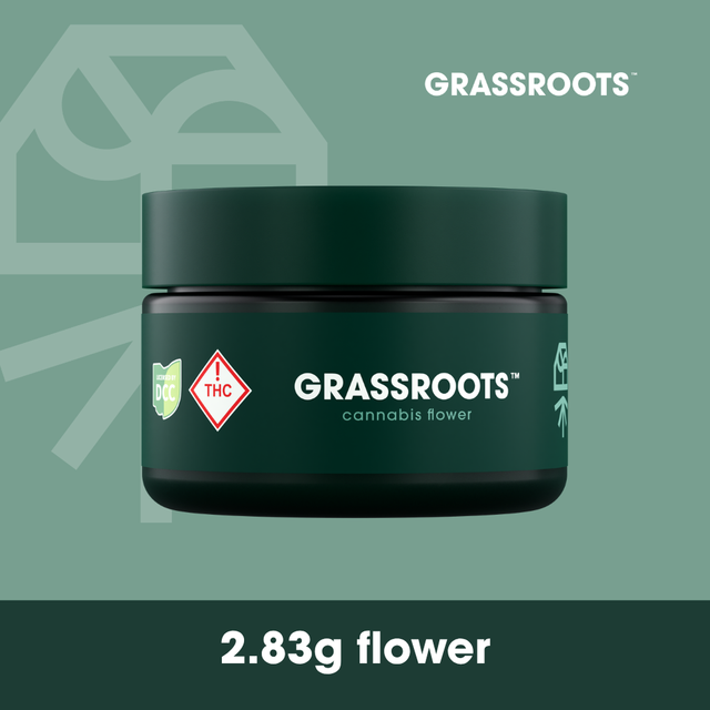 Papaya Drip #7 Grassroots