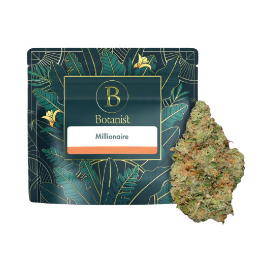 Millionaire The Botanist Millionaire The Botanist