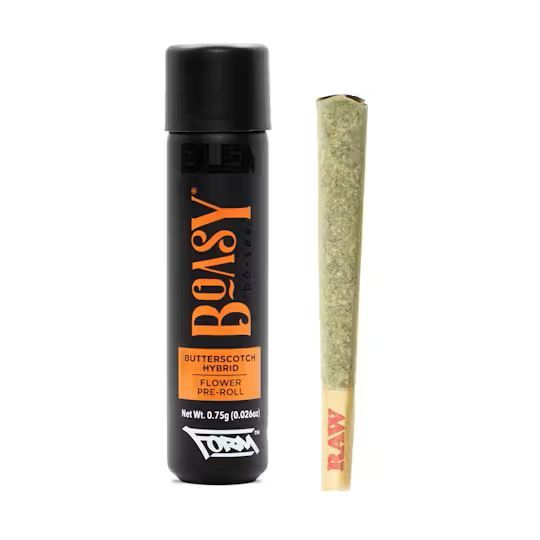 Boasy BLEM