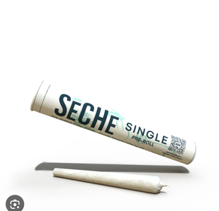 Lemon Batter SeCHe
