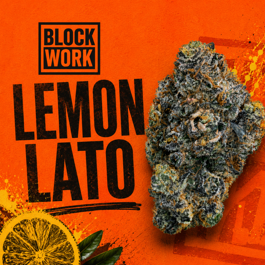 Lemon Lato