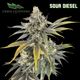 Sour Diesel Green Lightning Sour Diesel Green Lightning