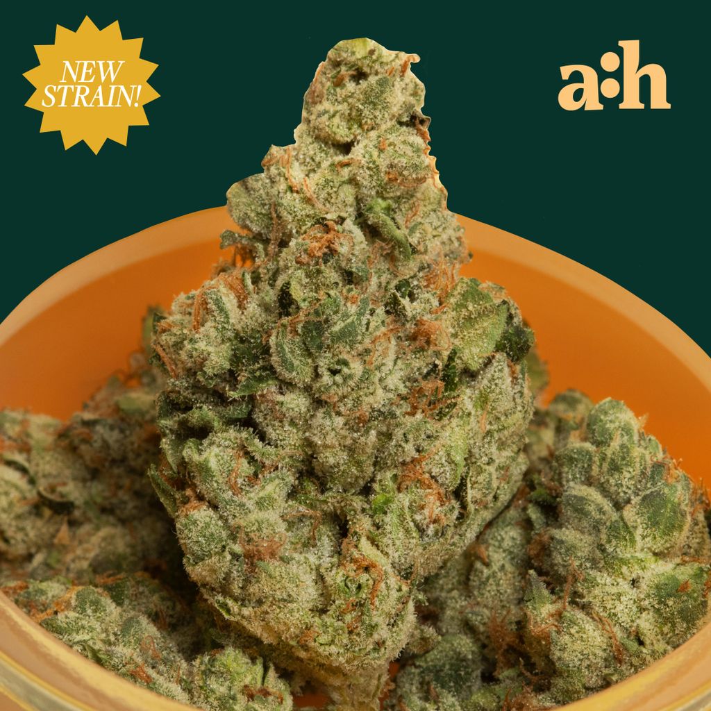 Sour Zoda