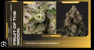 Fruit of the Moon Realm