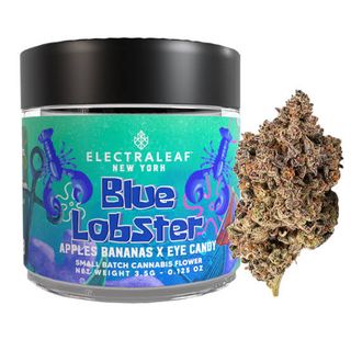 Blue Lobster 3.5g Electraleaf