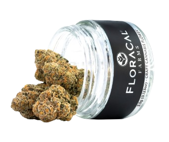 Slow Disco FloraCal Farms