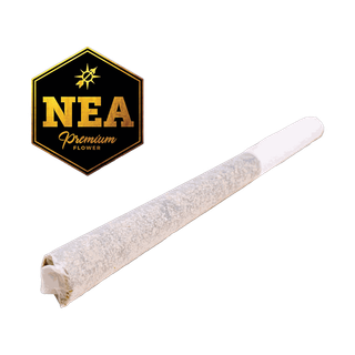 Banana Land NEA
