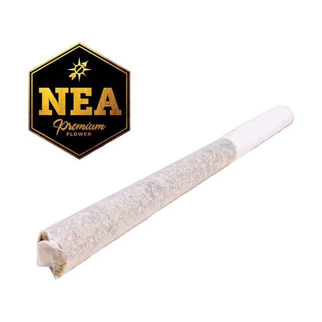 Banana Land NEA