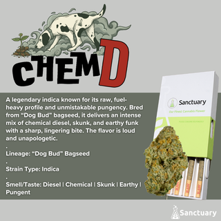 Chem D Sanctuary