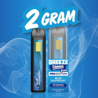 Blue Raspberry Breeze Canna