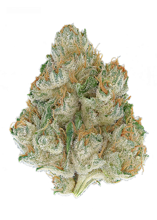 Lemondary Doghouse Farms