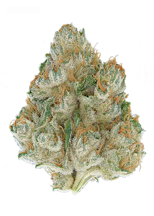 Lemondary Doghouse Farms