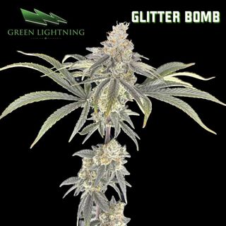 Glitter Bomb Big Buds Green Lightning