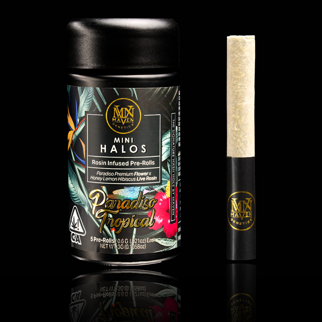 Paradiso Tropical Maven