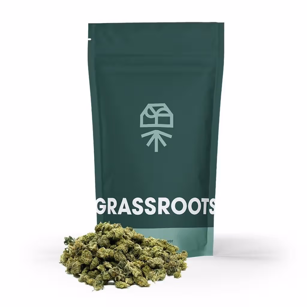 Blue Lobster Smalls Grassroots