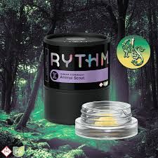 Animal Scout Rythm