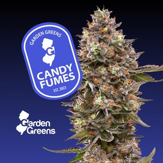 Candy Fumez Garden Greens 