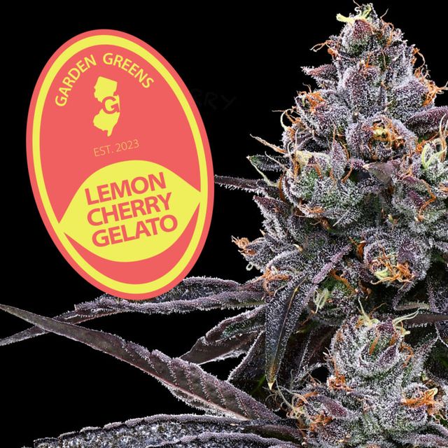 Lemon Cherry Gelato  Garden Greens 