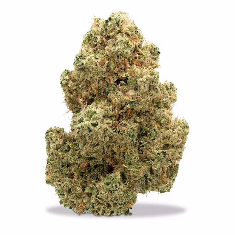 Chem XL Earl Baker