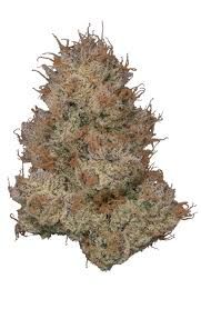 Blueberry Caviar Midnight Fruit Company